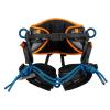 Climbing Harness